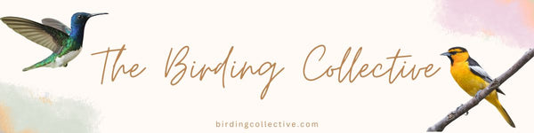The Birding Collective